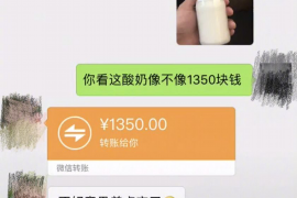 阿荣旗遇到恶意拖欠？专业追讨公司帮您解决烦恼